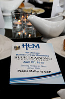 Hum Blue Diamond 2013